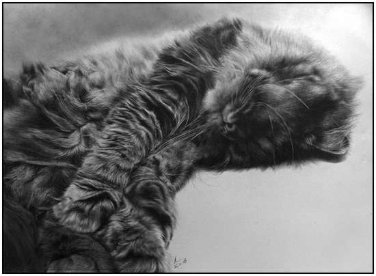 Incredible-Pencil-Art-from-Paul-Lung-9
