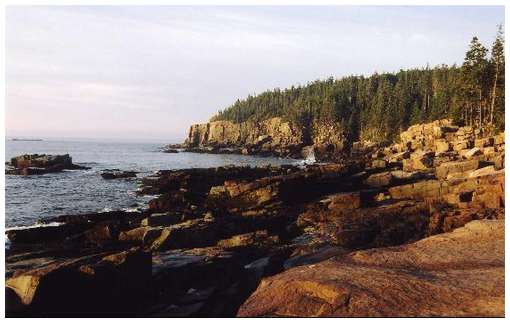 Acadia-National-Park-1