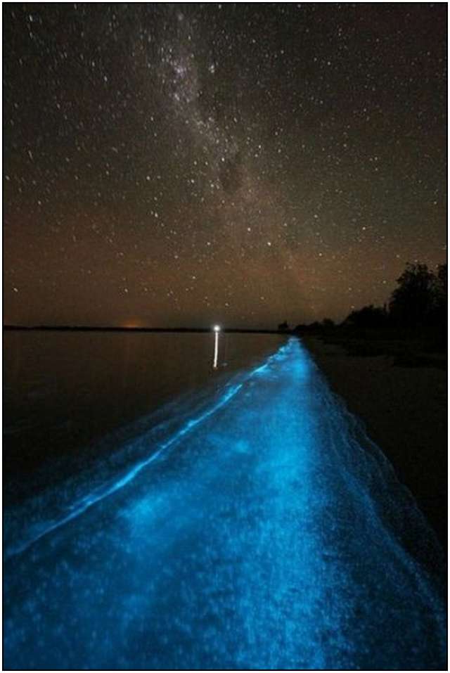 Bioluminescent-Lake-in-Australia-1