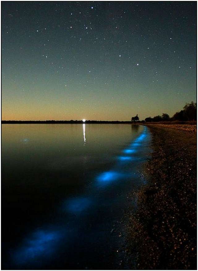 Bioluminescent-Lake-in-Australia-2