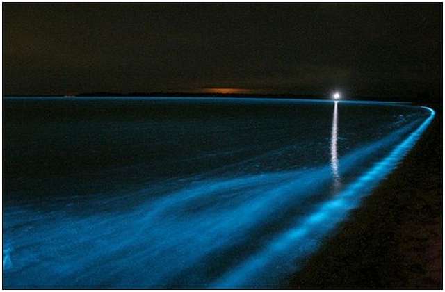 Bioluminescent-Lake-in-Australia-5