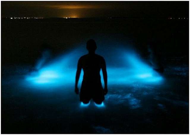Bioluminescent-Lake-in-Australia-6