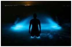 Bioluminescent-Lake-in-Australia