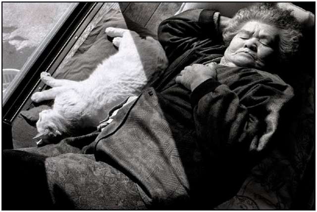 Photographs of 88-year-old Grandmother and Her Cat