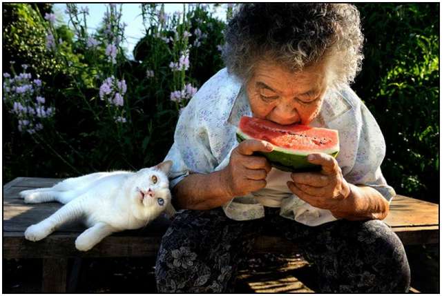 Grandmother-and-Her-Cat-2