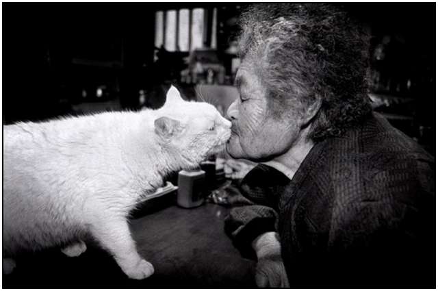 Photographs of 88-year-old Grandmother and Her Cat