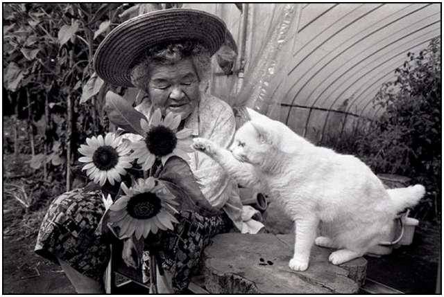 Grandmother-and-Her-Cat-5