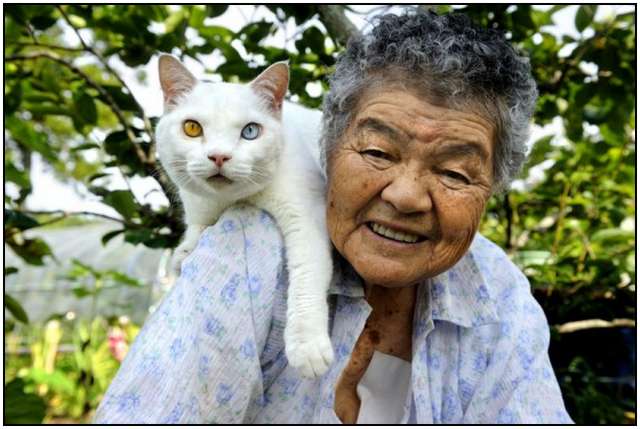 Grandmother-and-Her-Cat-6