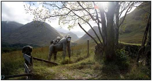 The Combination of Photos of Wild Animals From Africa and Beautiful Landscapes From Scotland Translocation-by-George-Logan
