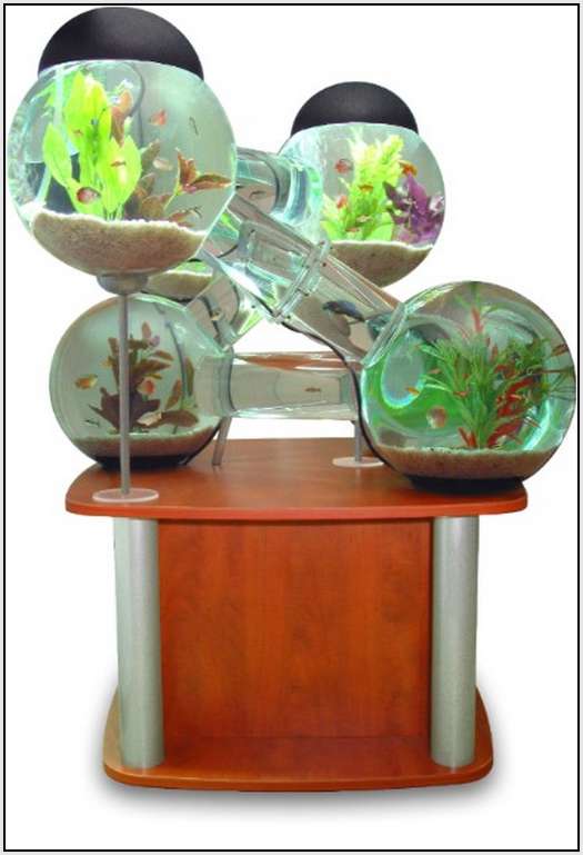 Labyrinth-Aquarium-3 Labyrinth-Aquarium-3